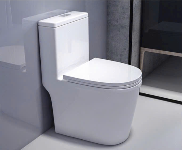 Bồn cầu T19