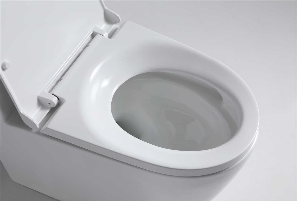 Bồn cầu T20