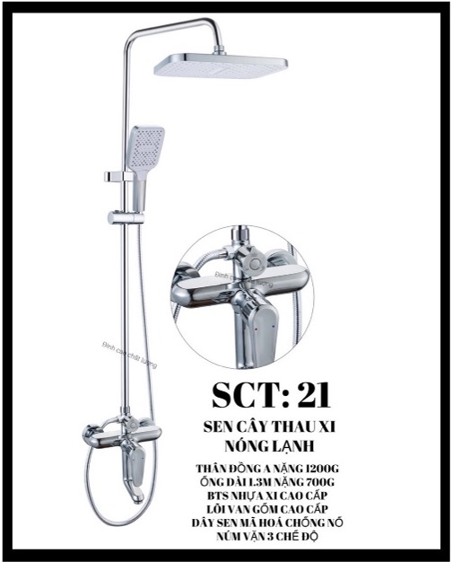 Sen cây 21
