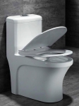 Bồn cầu T05