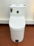 Bồn cầu T16