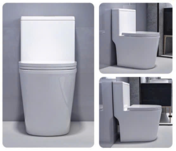 Bồn cầu T19
