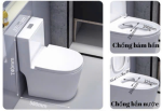 Bồn cầu T19