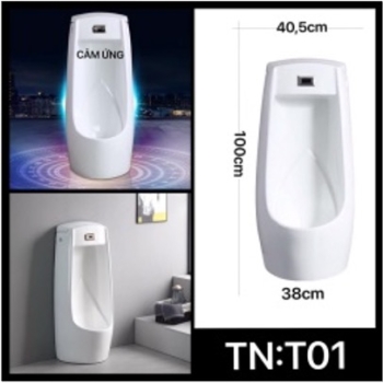 Tiểu nam cảm ứng lớn TN01