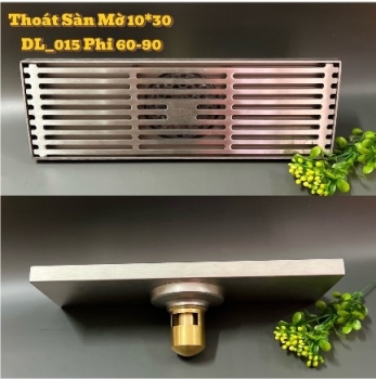 Thoát sàn mờ DL 015 - 10x30